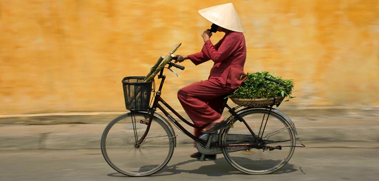 Travel Guide: Vietnam