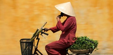 Vietnam Solo Travel Tour