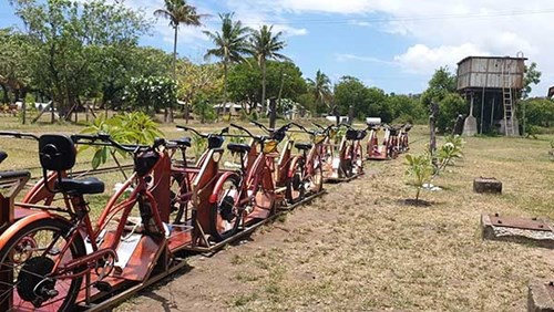 EcoTrax, Coral Coast half day out with Encounter Travel