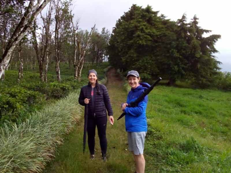 A tea plantation walk in Sri Lanka