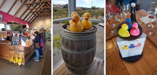 The Puddleduck Great Race 25 May 2019