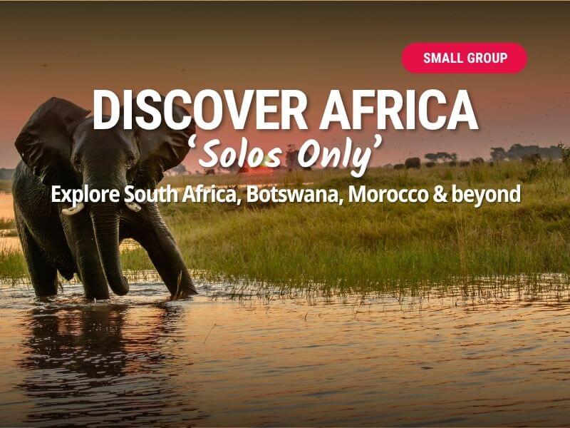 Africa Safari Solos