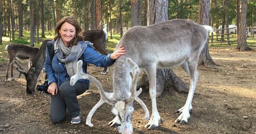 Solo Travel Tour Finland