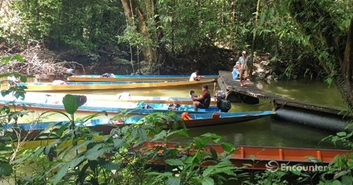 Long boats, Melinau River
