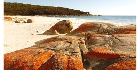Bay of Fires Solos Travel Tour