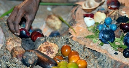 Native Australian foods