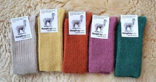 Buy Australian Made Socks