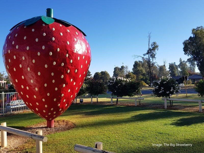 The Big Strawberry VIC