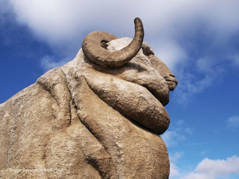 Big Merino NSW