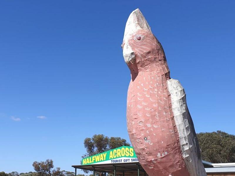 The Big Galah, Kimba, SA