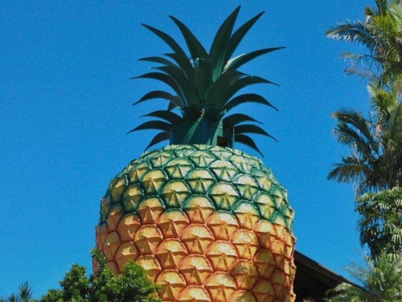 The Big Pineapple, QLD