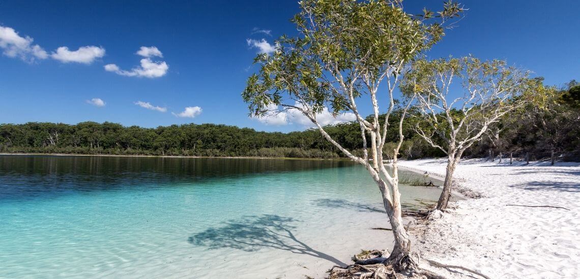 Mckenzie Lake, Fraser Island