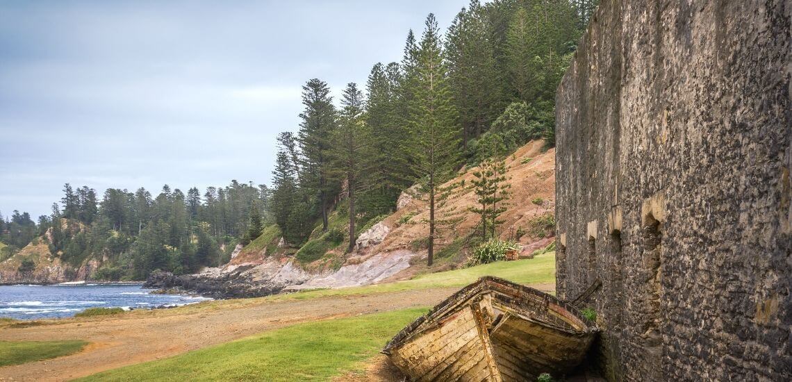 Pines of Norfolk Island
