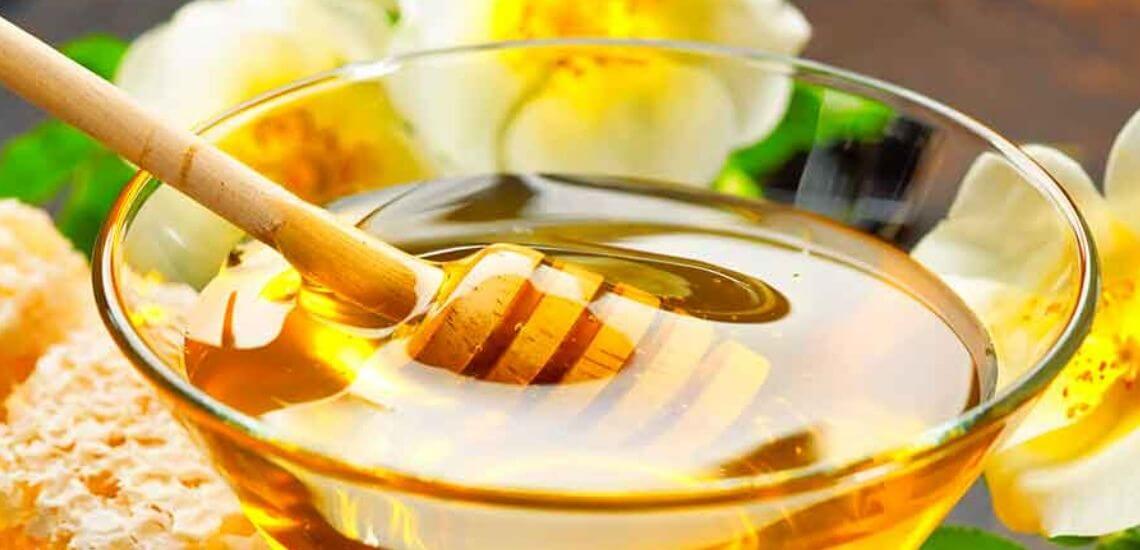 Encounter Travel tour Island Beehive