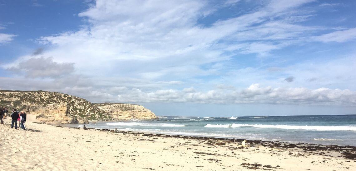 Encounter Travel Visit Seal Conservation Park