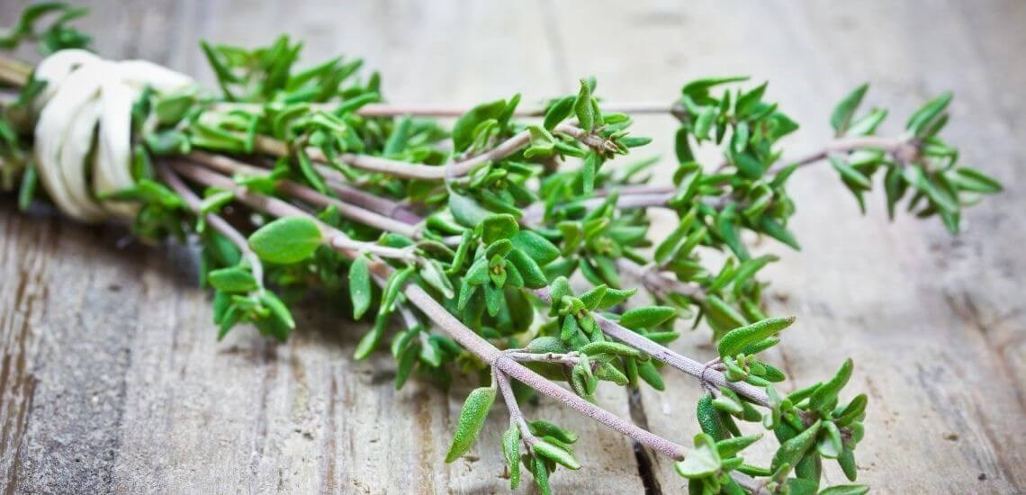 Easy Ways to Use Thyme