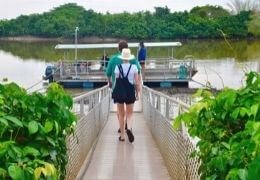 Jumping Crocodile Cruise with Lunch