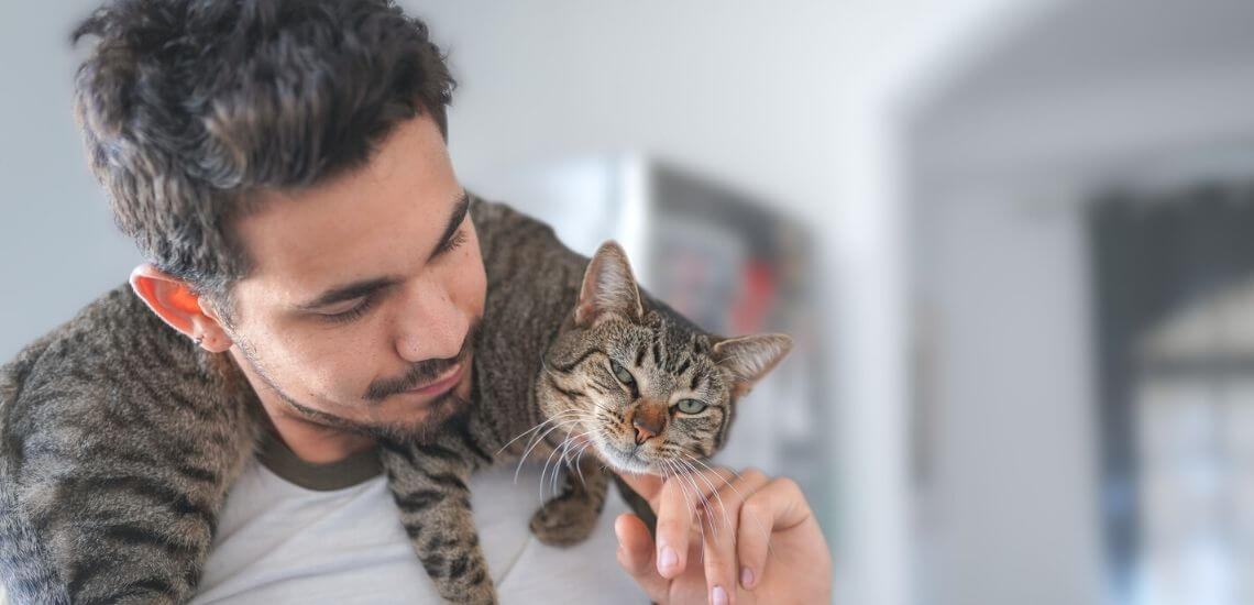 Signs My Cat Misses Me