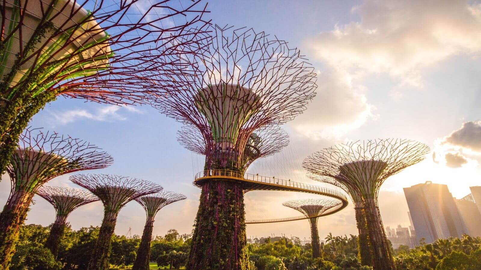 Solo Travel Tour Singapore City 2024