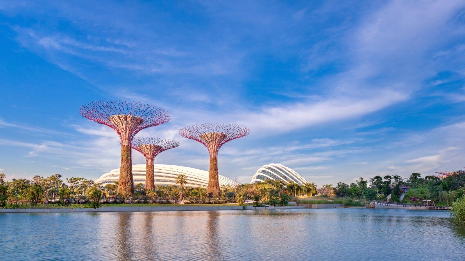 Solo Travel Tour Singapore City 2024