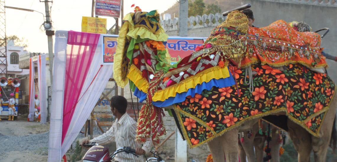 Encounter Travel Solo Travel Tour