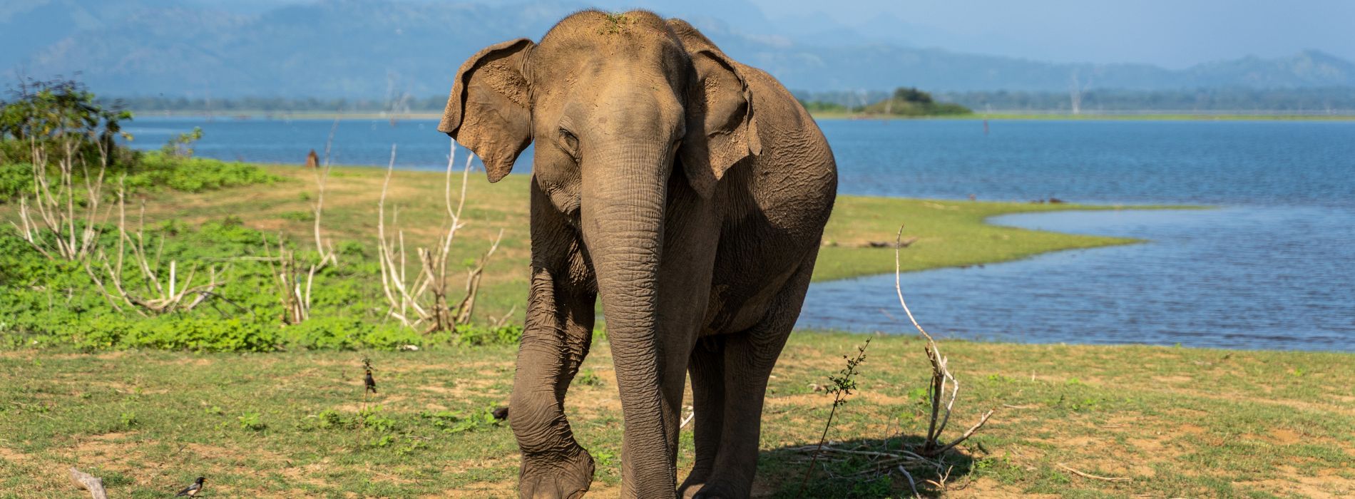Encounter Travel Sri Lanka